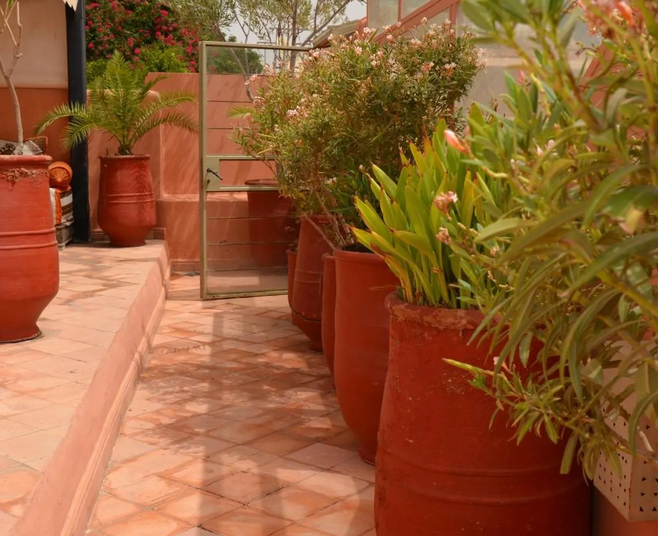 Riad Dar Sirine Marrakesh Guest house