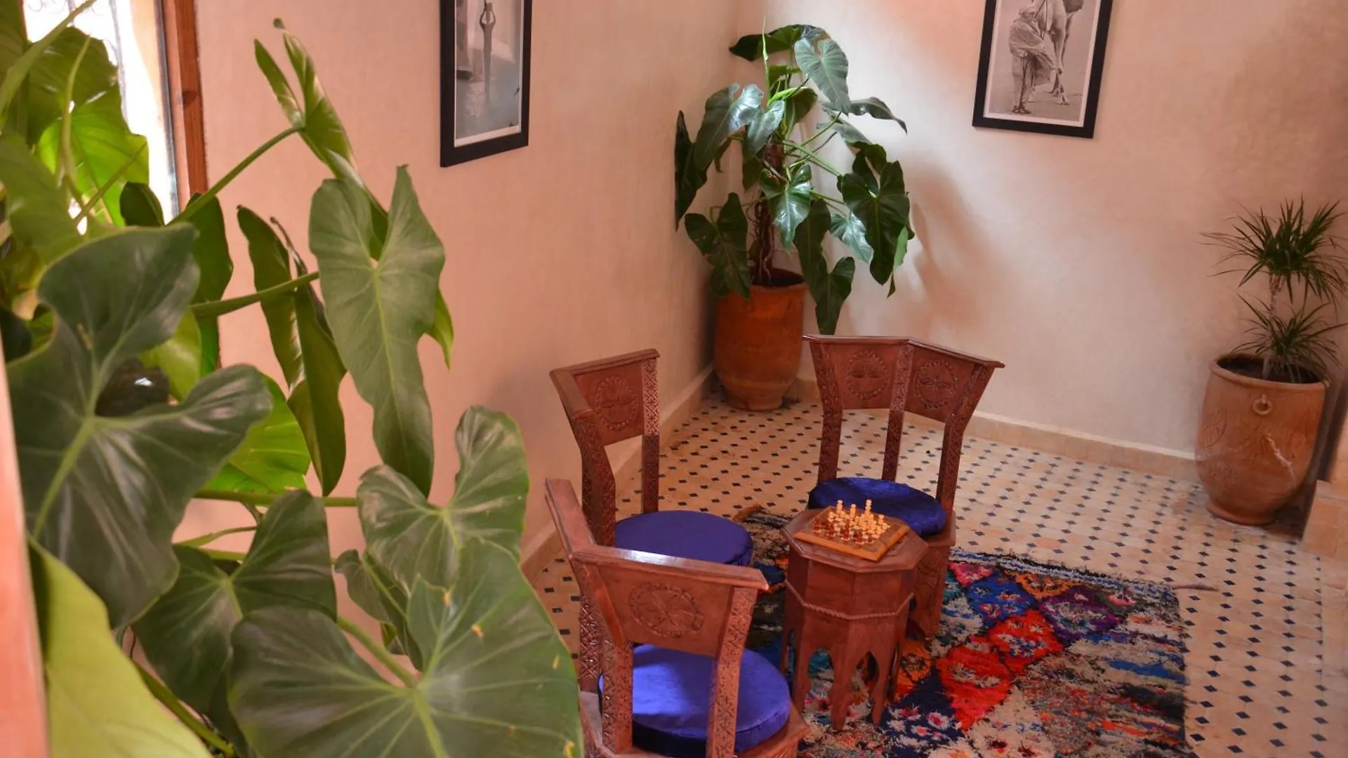 Riad Dar Sirine Marrakesh Guest house