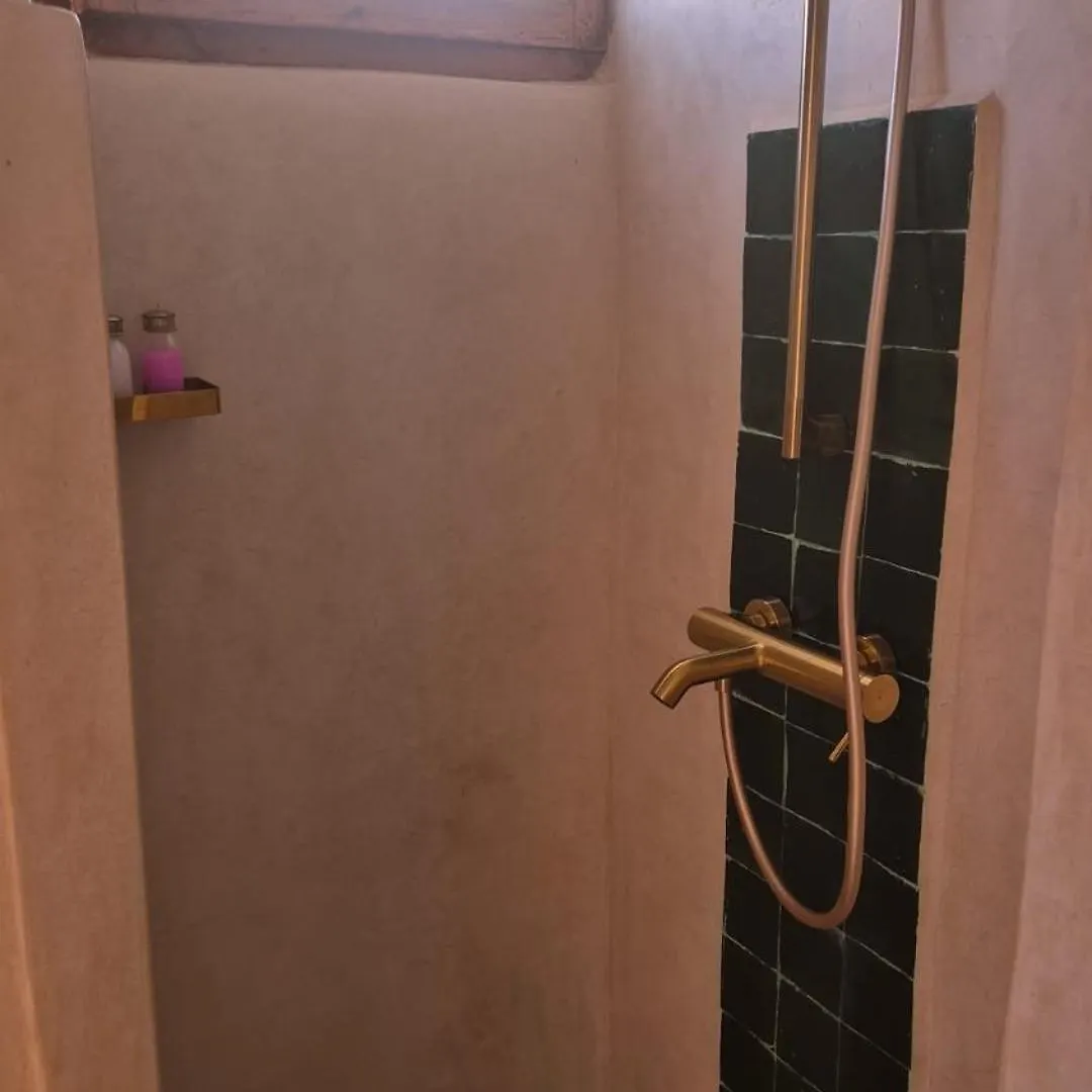 Riad Dar Sirine Marrakesh Guest house